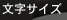 文字サイズ